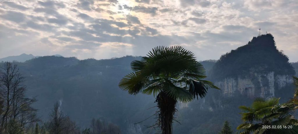  [笔记]：生根与拔根：一个鄂西家庭的精神脉络（2）