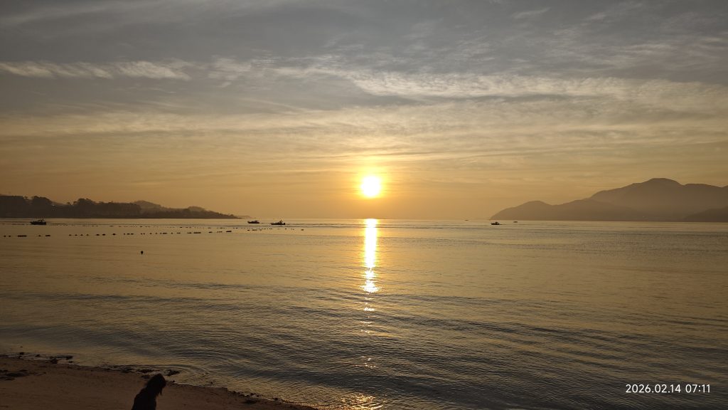 [笔记]：生根与拔根：一个鄂西家庭的精神脉络（9）