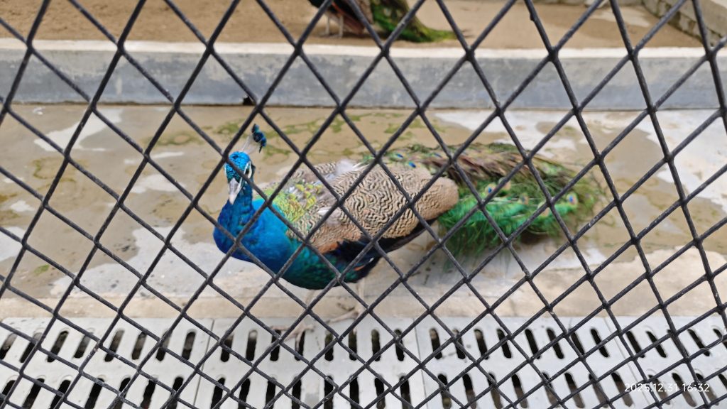 [笔记]：5年来，深圳租房的最佳实践