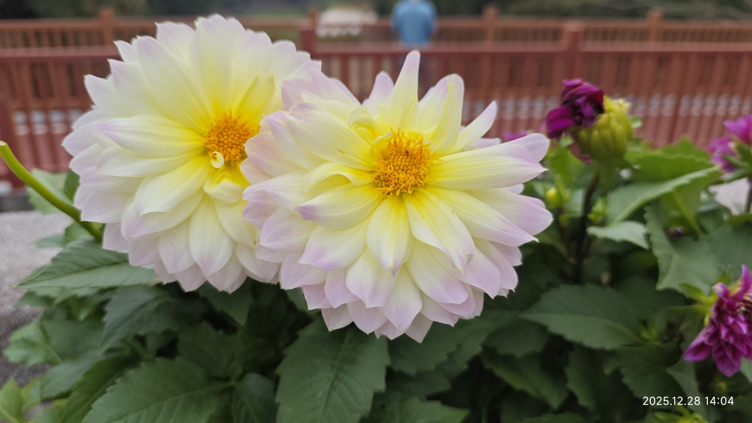 [笔记]：5年来，深圳租房的最佳实践