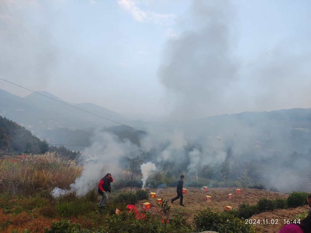  [笔记]：生根与拔根：一个鄂西家庭的精神脉络（3）