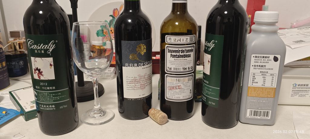 [记录]：2025岁末记忆 - 〔回归〕