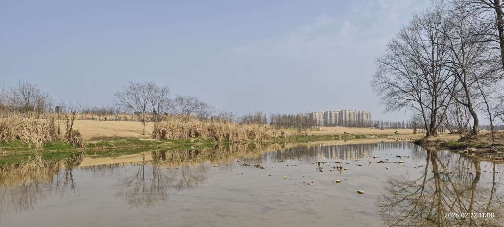 [记录]：2026春节记忆 – 〔顿悟〕