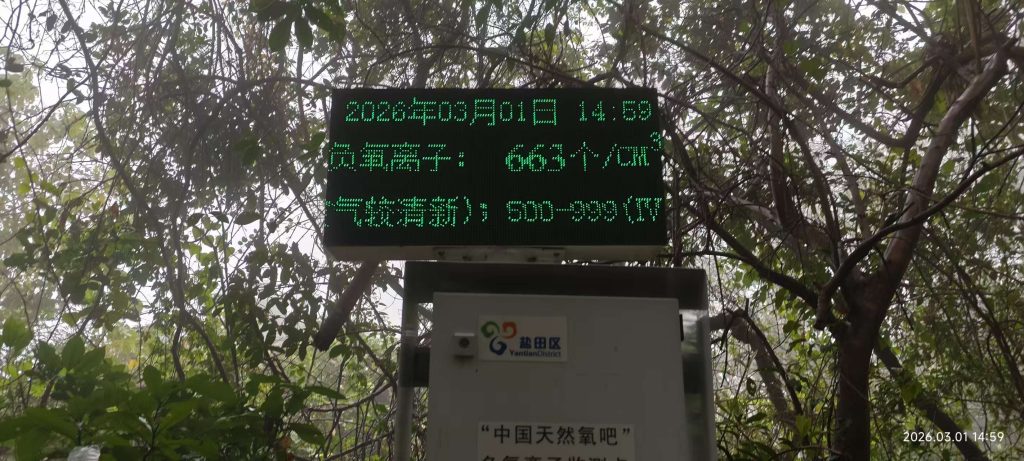 [记录]：梧桐山 · 马年春3月登顶笔记