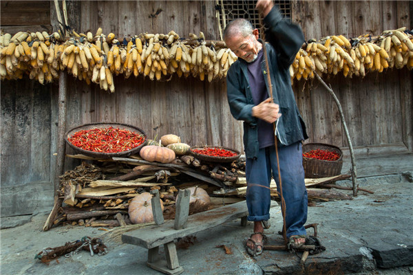 [笔记]：生根与拔根：一个鄂西家庭的精神脉络（7）