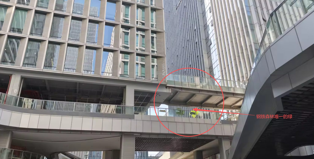 [笔记]：深圳打工人的一天记录