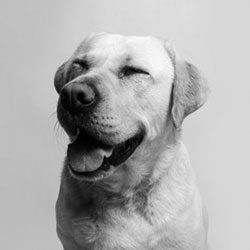 着陆导航介绍页